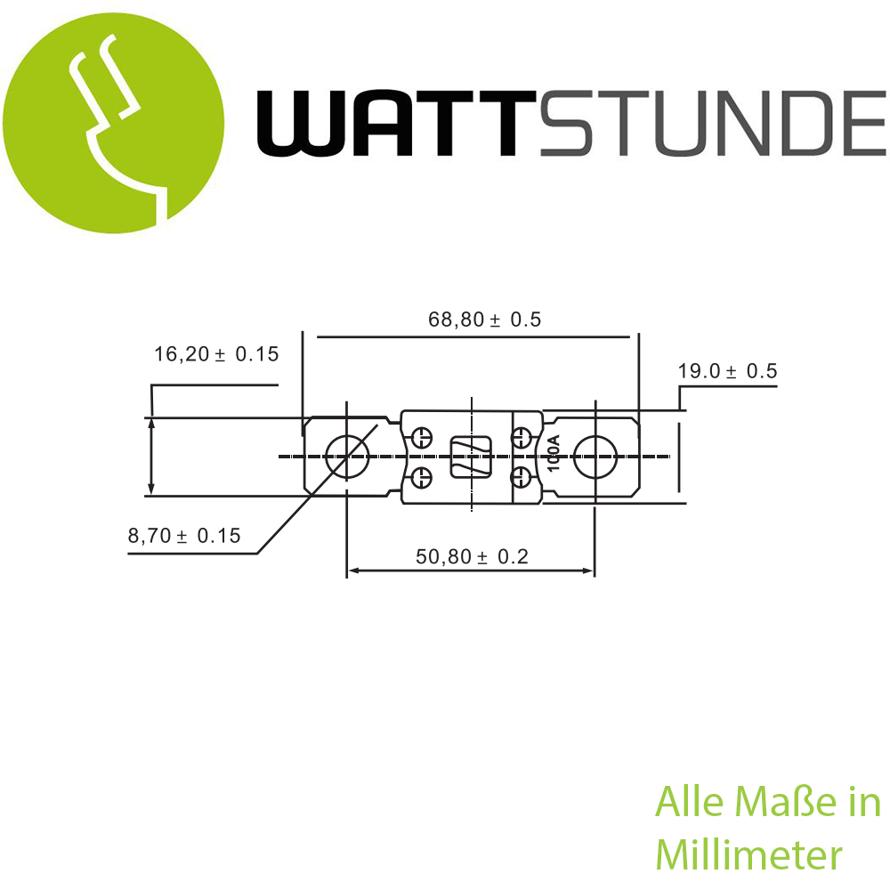 902-40010 - ANM Hochlast-Streifen-Sicherung 2x40 A (4)